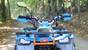 Tao Motor Shark 125 - 10