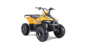 Tao motor Mudrock 110_6