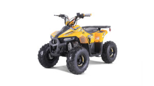 Tao motor Mudrock 110_9
