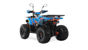 Tao motor hunter 125 _6