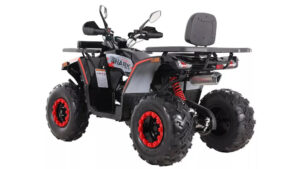 Tao-motor-Shark-200-III_2